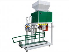 稱重式皮帶式不銹鋼復(fù)合肥料包裝秤10-60kg
